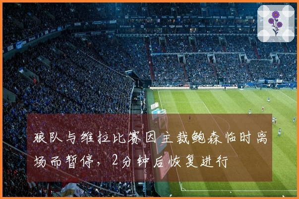 狼队与维拉比赛因主裁鲍森临时离场而暂停，2分钟后恢复进行